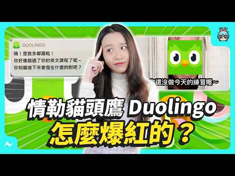 從語言學習 App 變成爆紅迷因？這隻會情勒的貓頭鷹到底是什麼｜多鄰國 Duolingo
