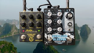 Video thumbnail for Will it Shoegaze - Beautiful Noise Effects - Endless Sleeper by collector//emitter