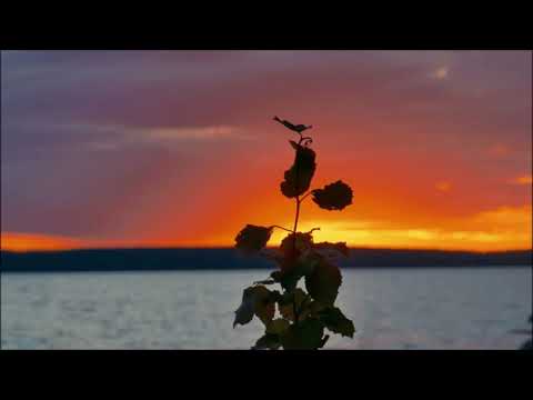 Younes B - Sacred Ladder (Original Mix)