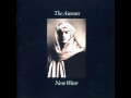 Auteurs - Don't Trust The Stars 