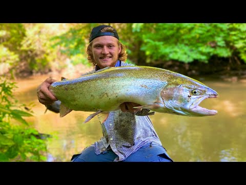 TINY Creek Fishing for GIANT TROUT! - Skamania Steelhead 2020