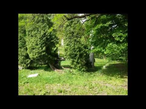 The History of Celje - Templvm Heracvlis