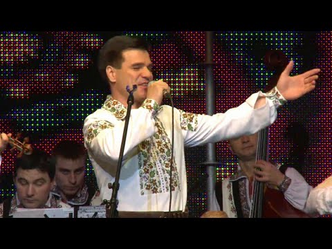 IGOR RUSU - Nunta la baiatul meu #potcoavadeaur