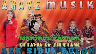 Download lagu AGAVE MUSIK BERSAMA FREBIKA AEK SIBUL BULON mp3 Download lagu AGAVE MUSIK BERSAMA FREBIKA AEK SIBUL BULON mp3