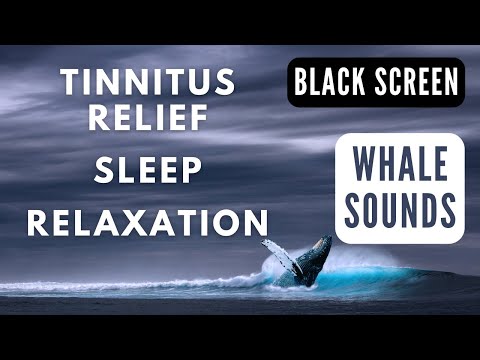 Whale Sounds for Tinnitus Relief, Sleep, Relaxation (Black Screen)