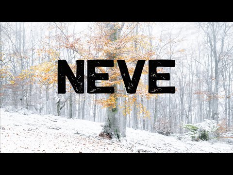 Fotografare la NEVE nel BOSCO dietro CASA - IDEE e CONSIGLI