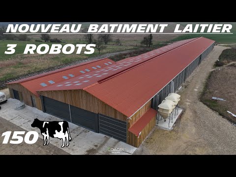 🤠 I'm visiting this brand new farm - 3 robots: 150 dairy cows 🐄