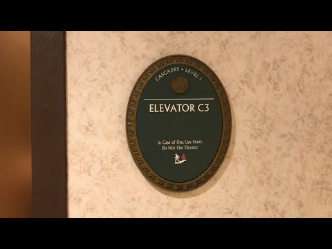 C3 Freight or Hospital Size Elevators Plus Cascades C1 Elevator