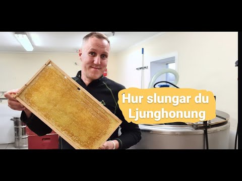 Hur slungar du Ljunghonung