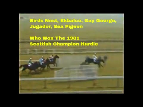 1981 Scottish Champion Hurdle