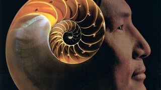 TELOS: The Fantastic World of Eugene Tssui - San Francisco Green Film Festival