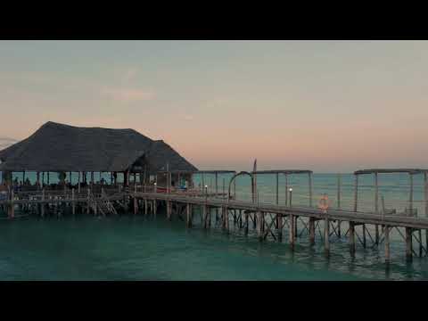 Cara Dee Playlist - Mixed - Pop, Country, RnB, Rock