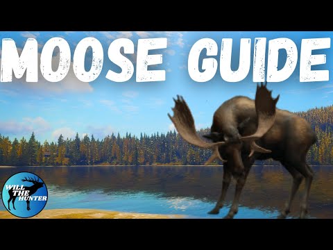 Layton Lakes Moose Guide! TheHunter Call Of The Wild 2023