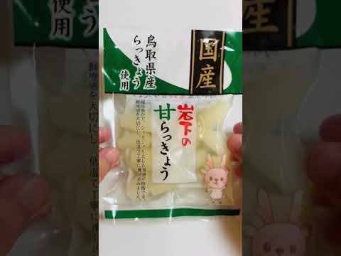 薬学科 鳥取県