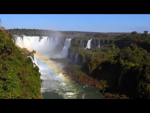 Gonna Rise Up ∙ Suzanne's Band (Official Music Video)