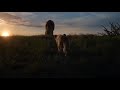 The Lion King 2019 The Great Kings Of The Past Mufasa And Simba Under The Stars