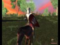 BS - Na bojnom polju - Mount & Blade Serbia 