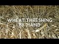 Wheat Threshing and Winnowing by Hand