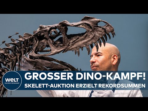 DINOSAURIER VERSTEIGERT: Jugendliches Dino-Skelett erzielt Rekordsumme in New York