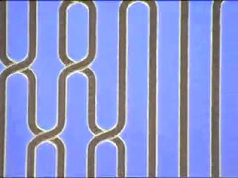 ICFP programming contest 2006 results