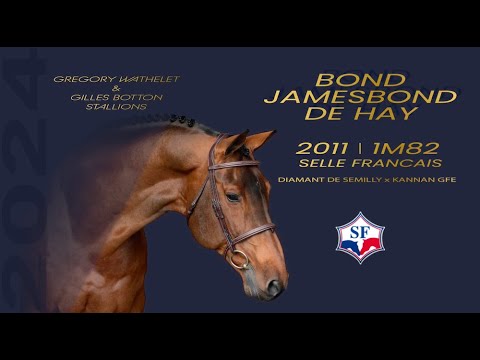 Bond Jamesbond de Hay - Grégory Wathelet & Gilles Botton Stallions