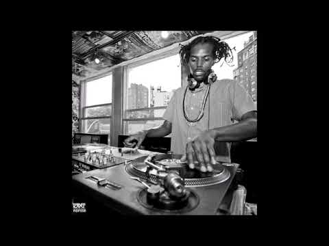 Damu the Fudgemunk - Public Assembly 🎵 (Full Album)