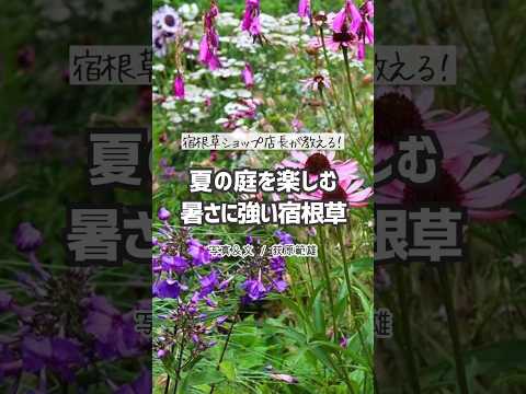 寒さ、暑さ、干ばつ、風など、あらゆるものに耐える植物を発見してください。  庭園