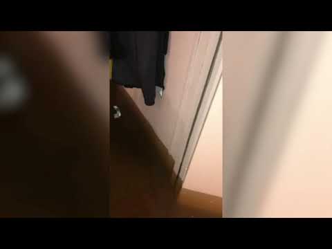 Evas dotter låg och sov - mitt i översvämningen i Gävle