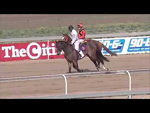 THE 2015 SAP SUPREME CUP   Broadband