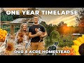 Building a Homestead: One Year in the Making | HOMESTEAD TIMELAPSE
