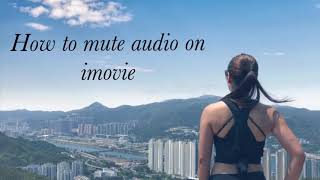 How to remove background noise or mute the audio using imovie