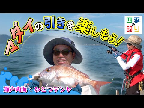 瀬戸内海でひとつテンヤ　マダイの引きを楽しもう！（四季の釣り/2023年8月25日放送）