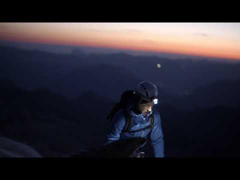 Österreich zurück an die Spitze führen.