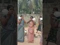 Pongal Celebration Game