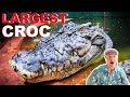 Feeding The World S LARGEST Crocodile