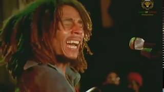 BOB MARLEY - Natty Dread (Manhattan Center N.Y. 1975/06/21) Concert - HD