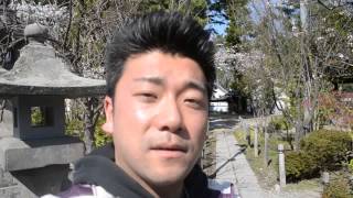 preview picture of video 'アキーラさん参拝①長野・善光寺,Zenkoji-temple,Nagano,Japan'