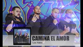 Camina El Amor Lyrics English Translation
