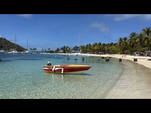 Mayreau and Tobago Cays, by Catamaran