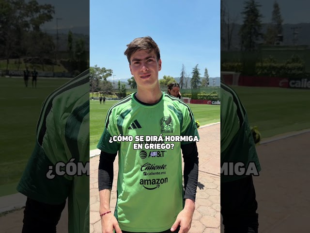 Hay que ir aprendiendo, cómo se dice Hormiga en griego 🐜 🇲🇽