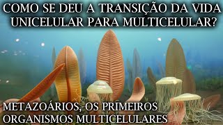 Como a Evolução Salta da Vida Unicelular para Vida Multicelular? (EP. 04)