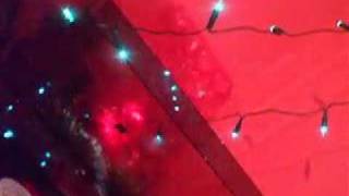 RONNIE DAVIS - Ride Your Donkey - reggae dub 12" disco 45