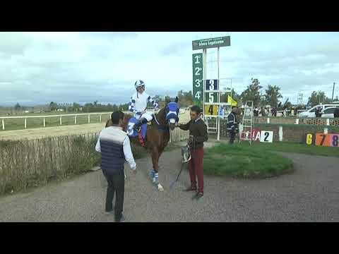 SINT FLORIDA 230810 c05 - 1° EL JEFE JF