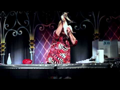 Sharon Roy's Premier Final at the CFA 2011 National Show