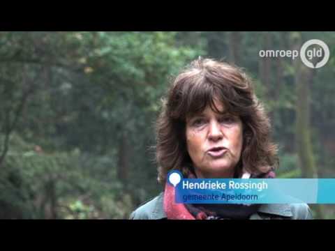 GLD VANDAAG 27 oktober 2016