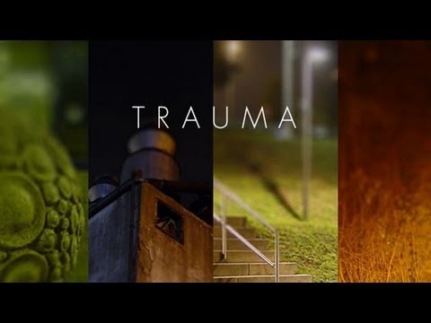 trauma pc spiel