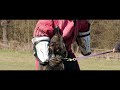 German Shepherd dogs for sale: German Shepherd 1 - Video 1
