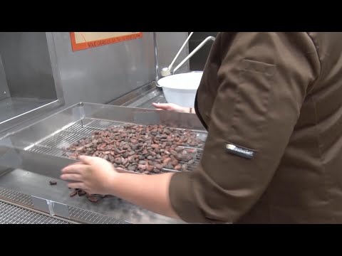 Una fleca del Ripollès recupera l'elaboració tradicional de la xocolata