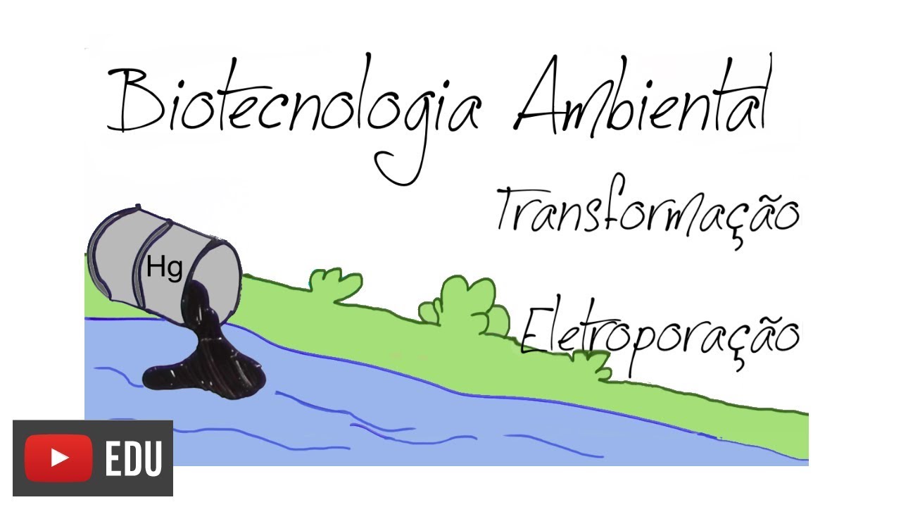 Environmental biotechnology, bacterial transformation and electroporation