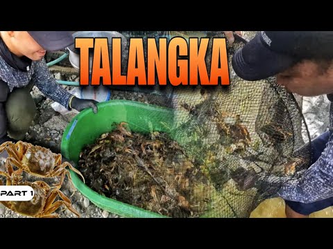 P1-Tiba-Tiba sa Talangka - EP1449